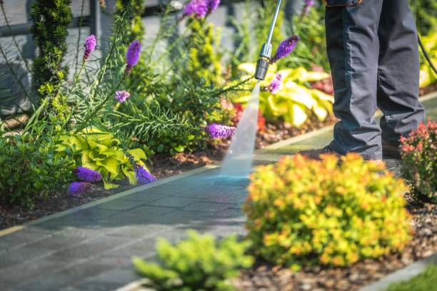 Trusted Dewitt, AR Pressure Washing Services Experts