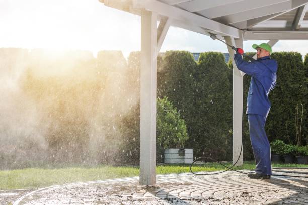 Best Soft Washing  in Dewitt, AR
