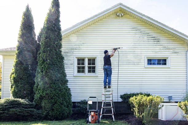 Best Driveway Pressure Washing  in Dewitt, AR
